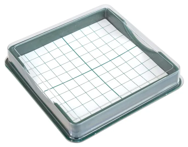 Betzold Hunderterbox Zehnerbasen Rechenbox 10x10 cm