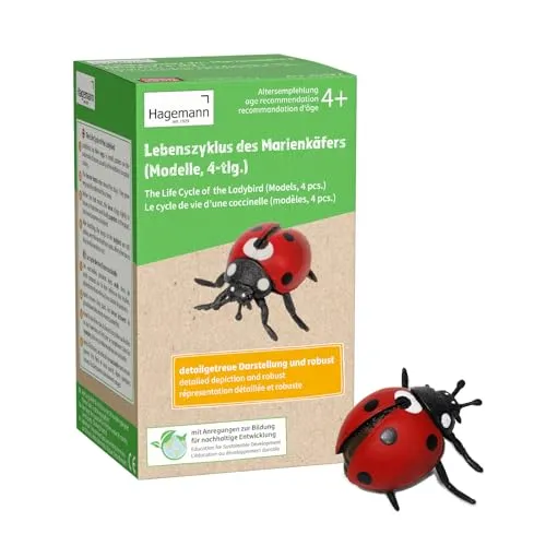 TimeTEX Lebenszyklus Marienkäfer Modelle 4-teilig