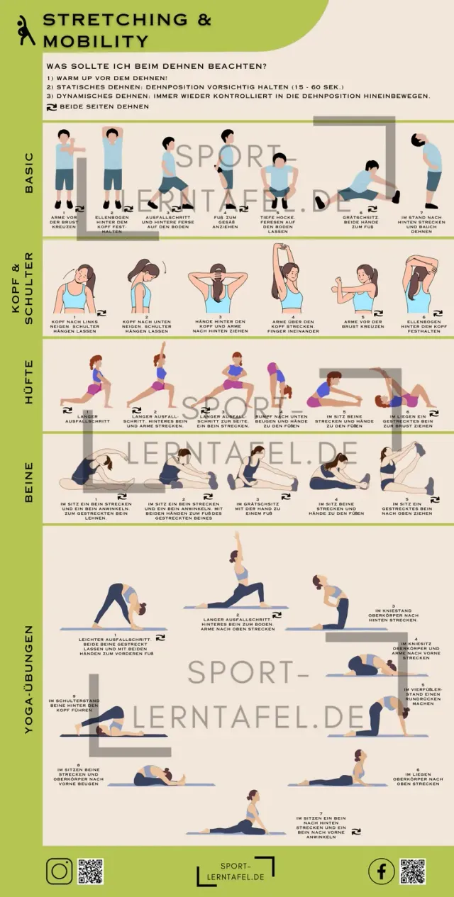 Sportlerntafel Lerntafel Stretching und Mobility 50 x 100 cm