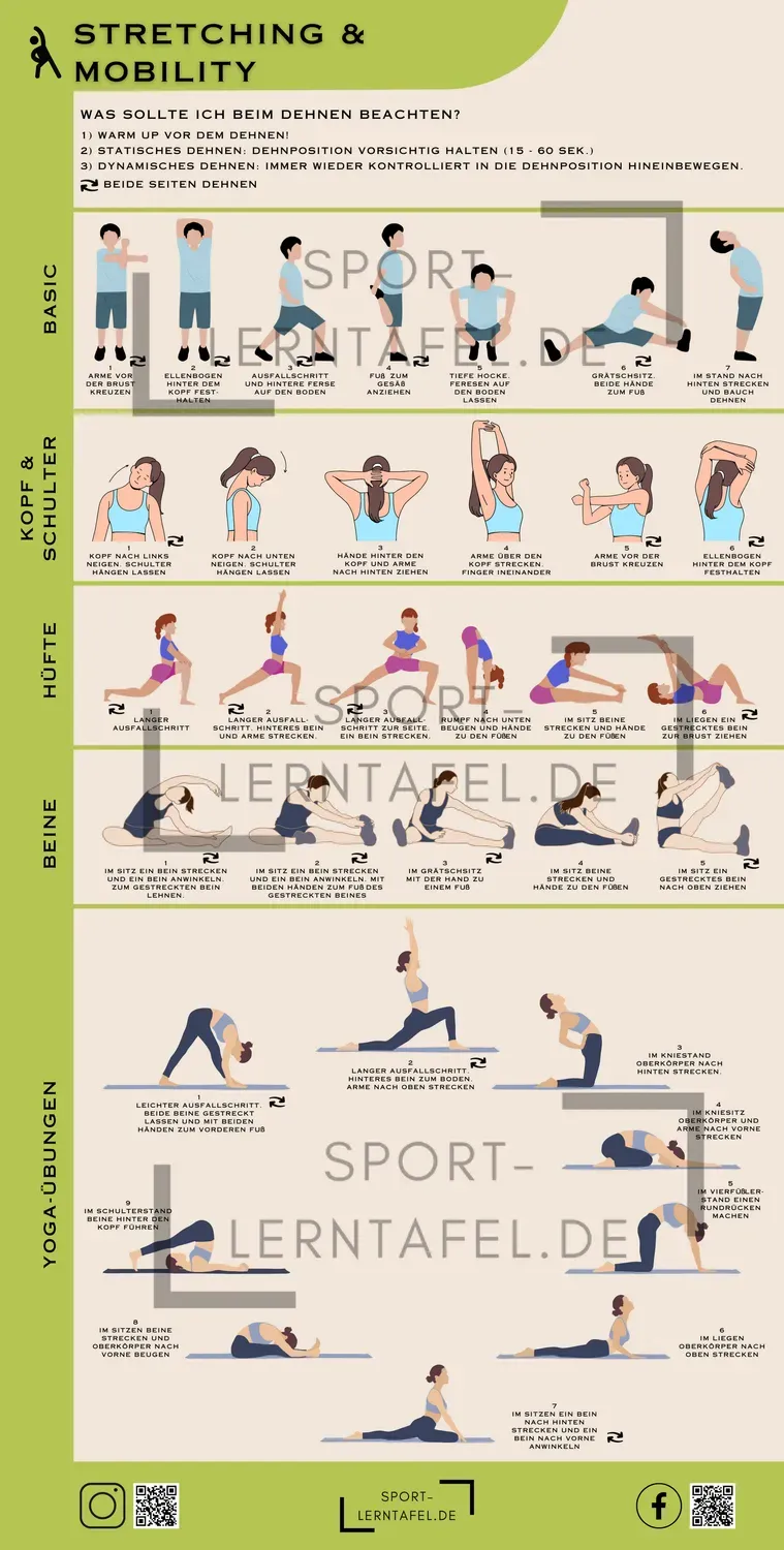 Sportlerntafel Lerntafel Stretching und Mobility 50 x 100 cm