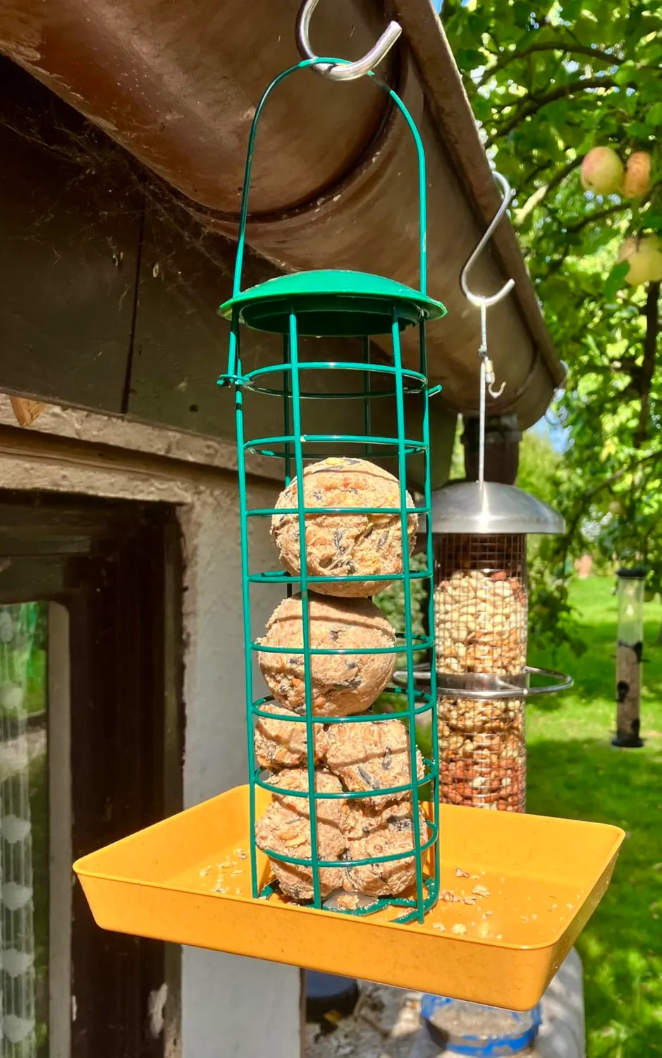 Betzold treeNside Materialschalen