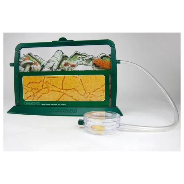 TimeTEX Ameisenwelt 9-teilig Lernset Kunstglas