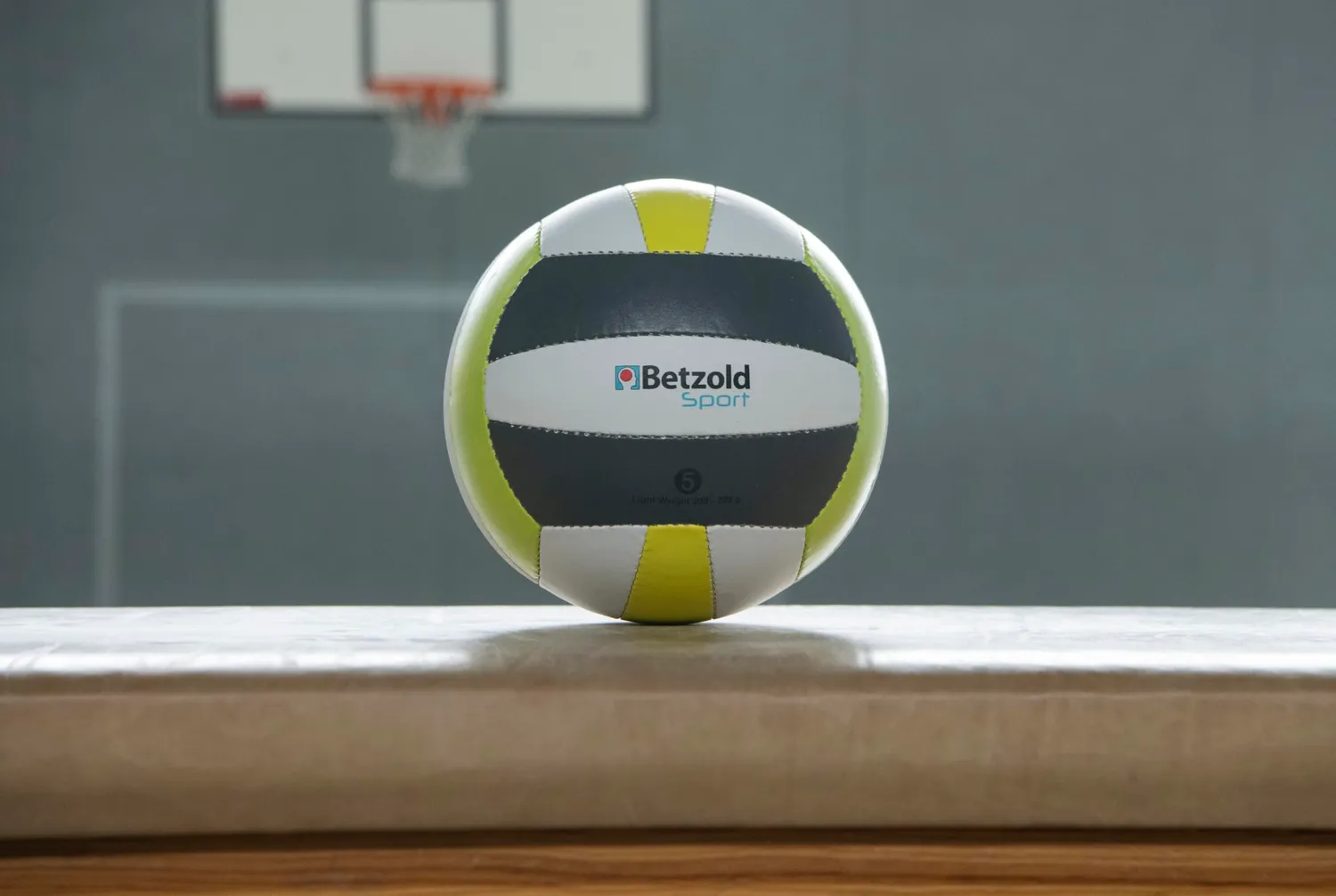 Betzold Ball-Set Sportbälle 5-teilig Fußball Volleyball