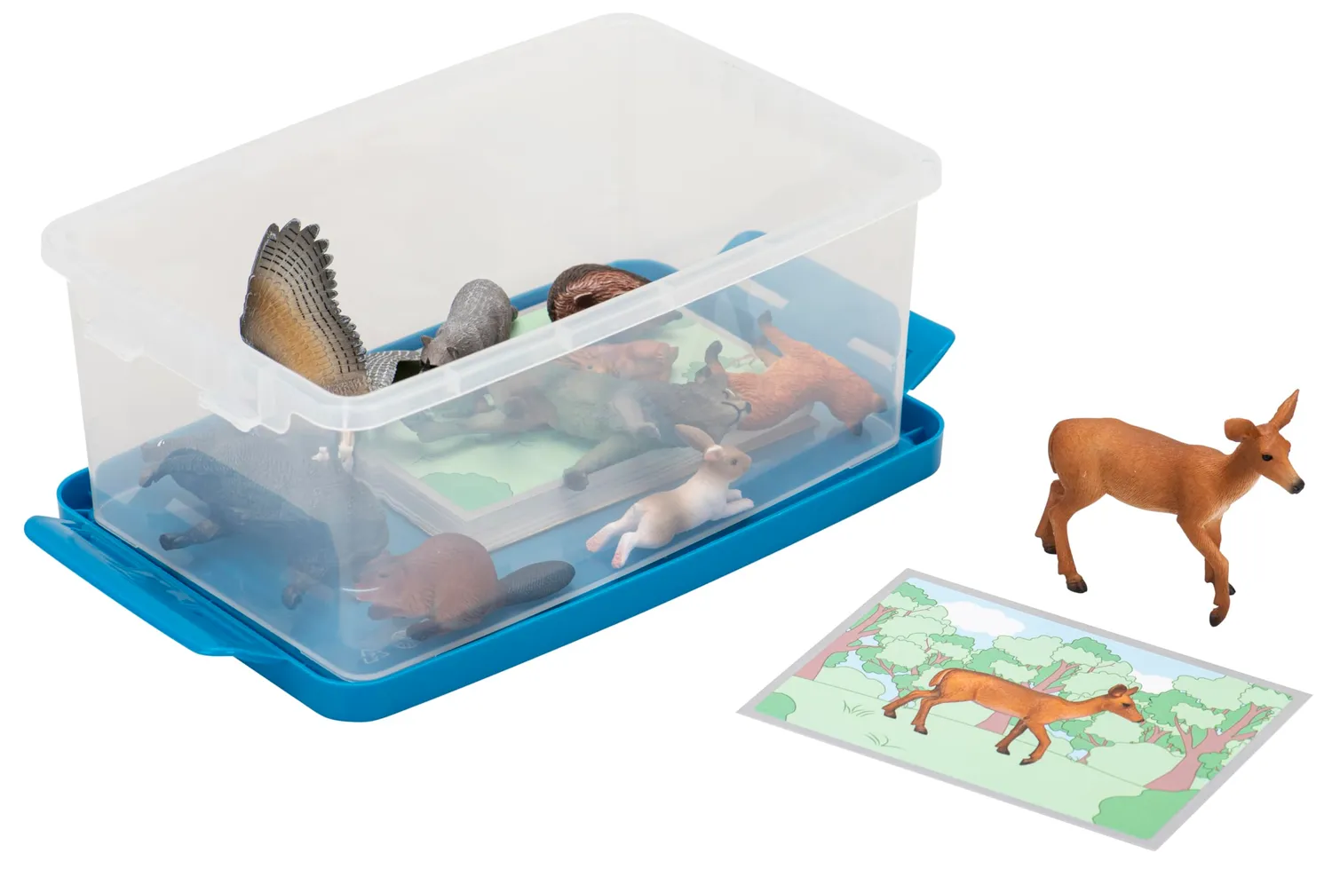 Betzold Tiere zuordnen Wortschatzspiel Box