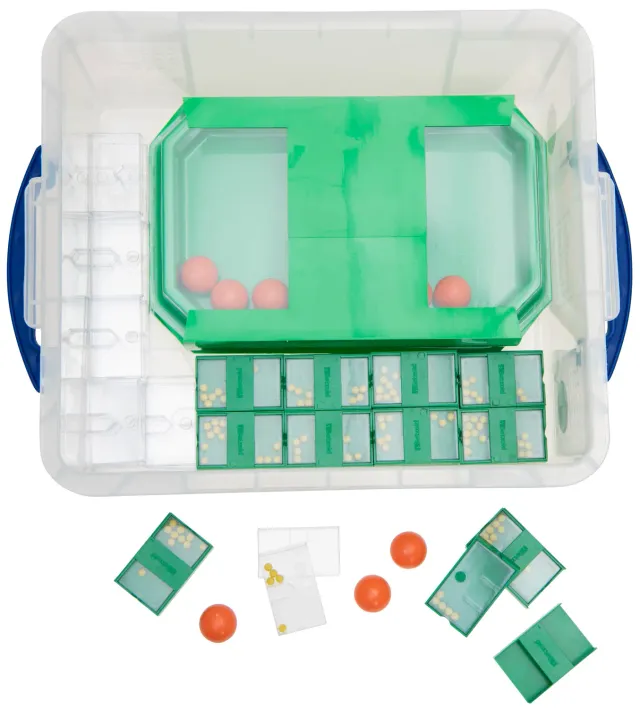 Betzold Multi-Split-Klassensatz XXL Schüttelbox 25er Set