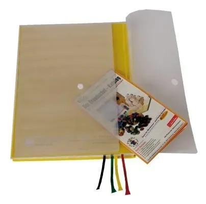 TimeTEX System Aufsteck-Tasche A4-Plus transparent 10788