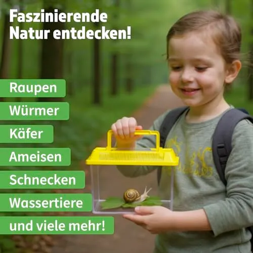 TimeTEX Insekten-Beobachtungsbox transparent mit Lüftung 21cm