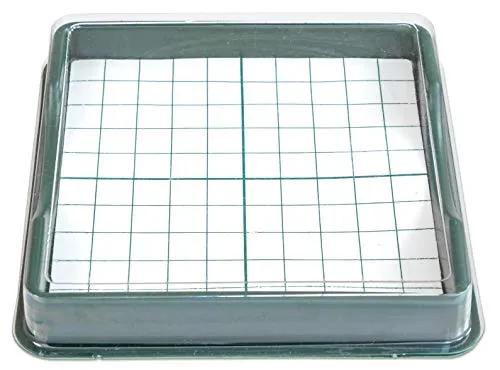 Betzold Hunderterbox Zehnerbasen Rechenbox 10x10 cm