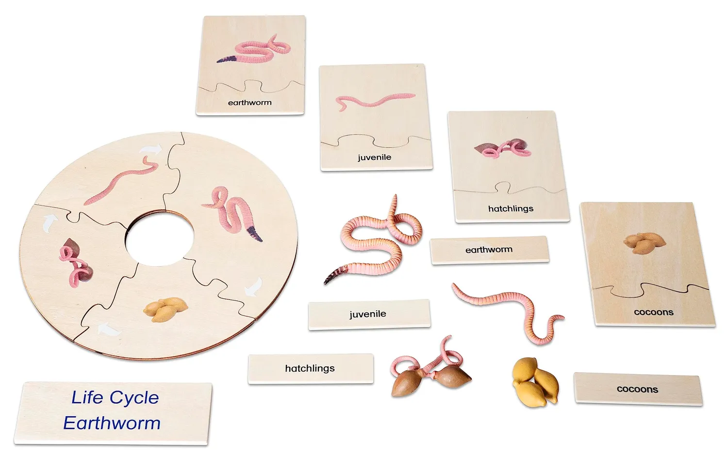 Betzold Lebenszyklus Regenwurm Holzpuzzle 5 Puzzles Box