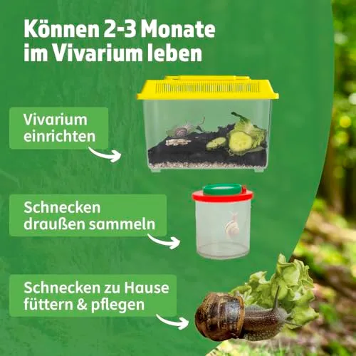 TimeTEX Schnecken-Beobachtungs-Set 5-teilig Vivarium Lernmaterial