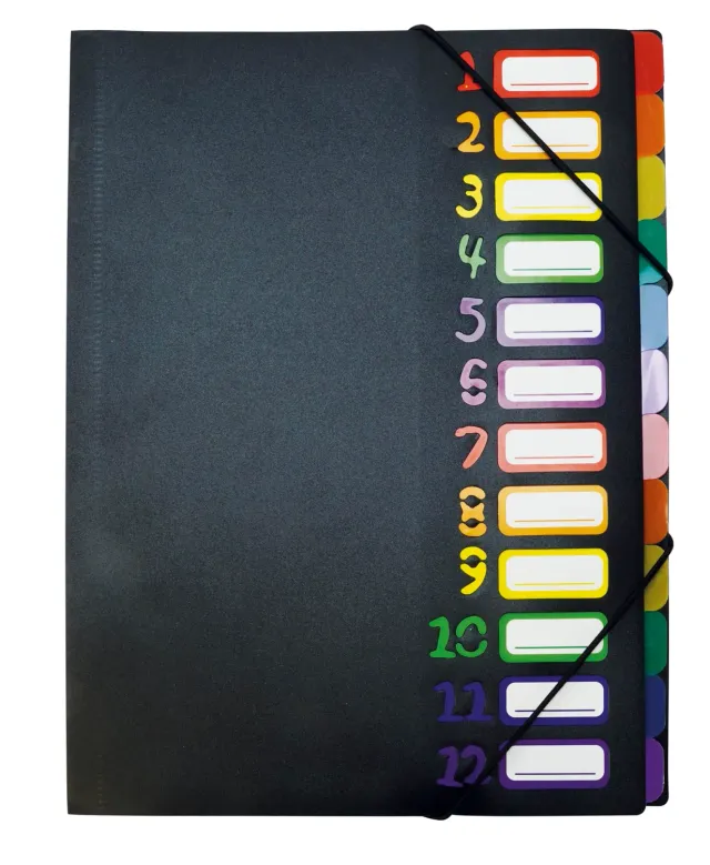 TimeTEX Tisch-Fächermappe A4 12 Fächer Ordnungsmappe