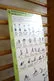 Sportlerntafel Lerntafel Stretching und Mobility 50 x 100 cm