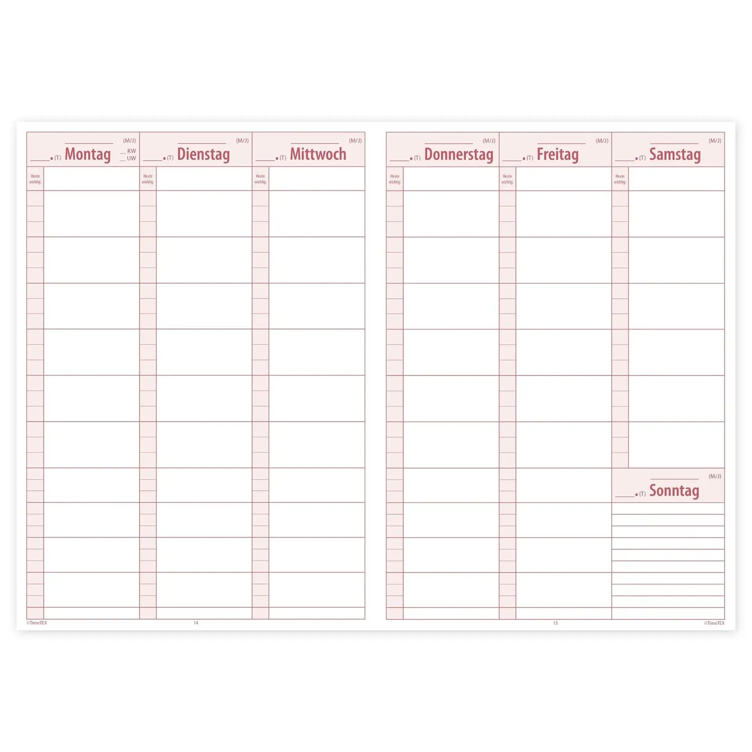 TimeTEX Completo Referendariats-Planer 10573 A4-Plus 18 Monate