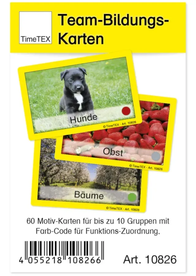 TimeTEX Teamkarten Bildungskarten 60-teilig im Etui