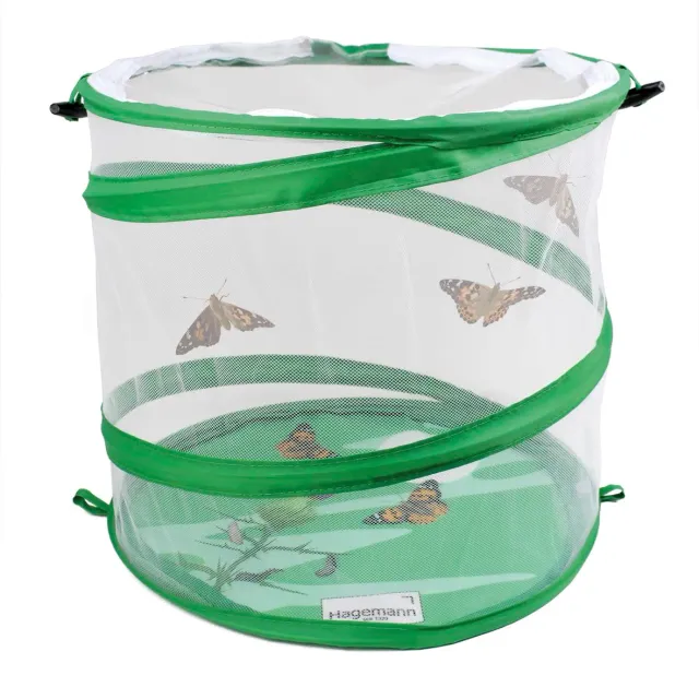 TimeTEX Schmetterlings-Netz Pop-up 30x30 cm Insekten