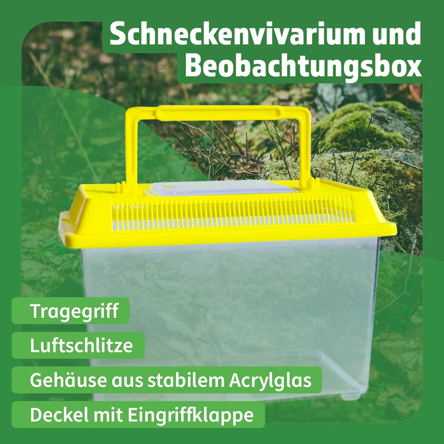 TimeTEX Schnecken-Beobachtungs-Set 5-teilig Vivarium Lernmaterial
