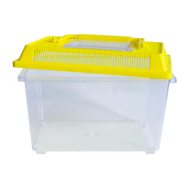 TimeTEX Insekten-Beobachtungsbox transparent mit Lüftung 21cm