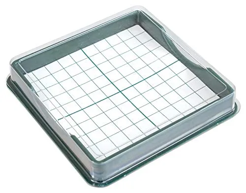 Betzold Hunderterbox Zehnerbasen Rechenbox 10x10 cm