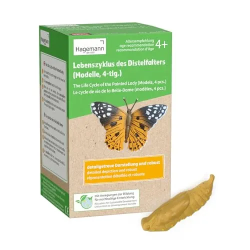 TimeTEX Lebenszyklus Distelfalter Lernmodelle 4-teilig PVC