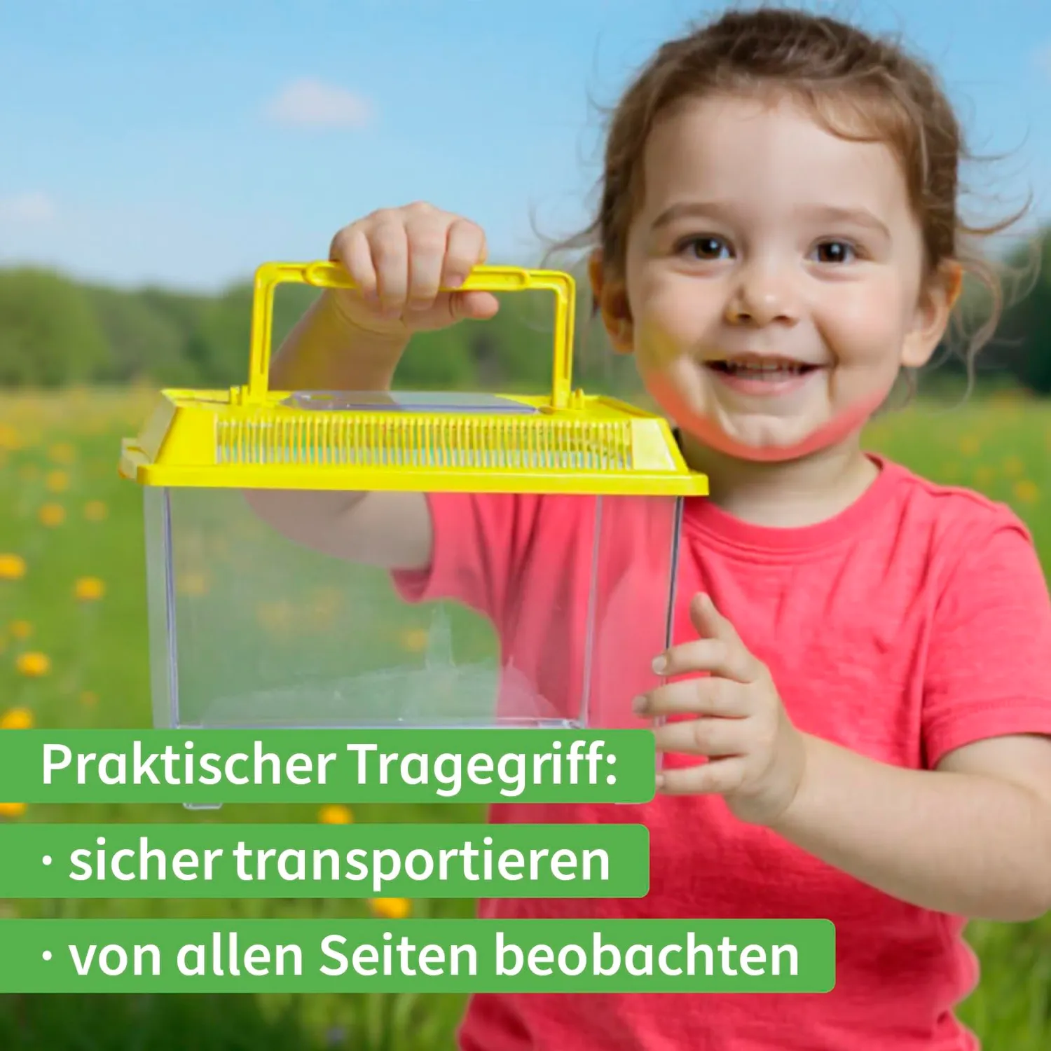 TimeTEX Insekten-Beobachtungsbox transparent mit Lüftung 21cm