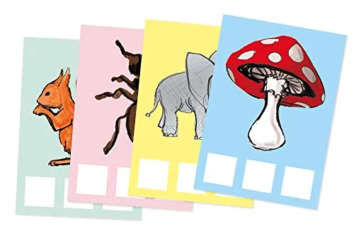 TimeTEX Anlaut-Karten A5 Lernkarten 138-tlg Alphabet